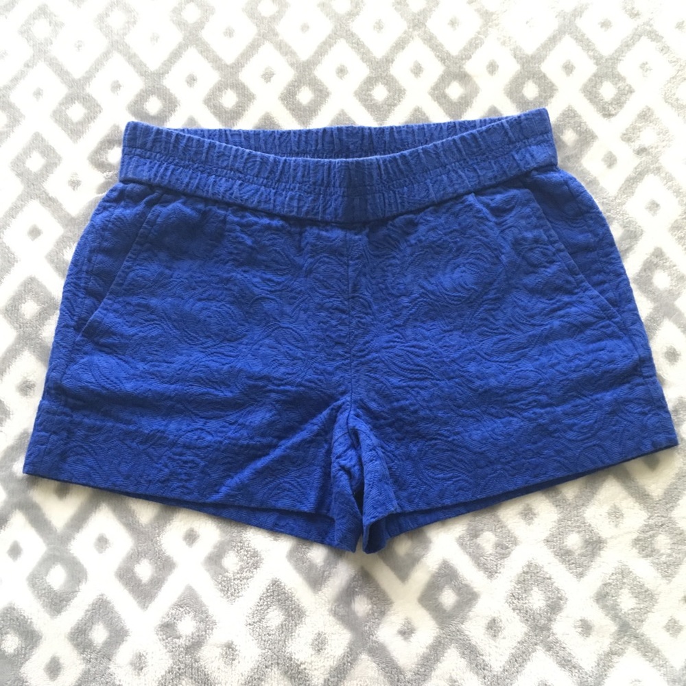 J. Crew Blue Detailed Shorts